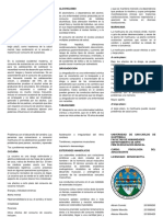 Trifoliar PDF