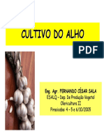 Aula de ALHO - Horticultura PDF