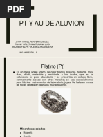 PT y Au de Aluvion-1