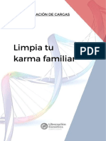 Limpia Tu Karma