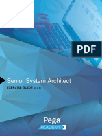 PEGA Case Document PDF