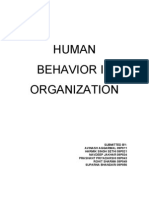 Human Behavior in Organization