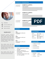 108 Curriculum Vitae Ingeniero