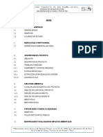 Impacto Ambiental PDF