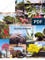 Arvores Urbanas