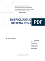 Embriologia Del Sistema Renal