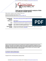 ) Indicates Multiple Species Whales (Complete Mitochondrial Genome Phylogeographic Analysis of Killer