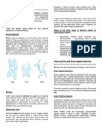 Bacterial Classification