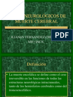 Muerte Cerebral