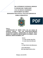 Analisis de Hierro PDF