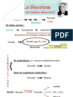 Biochimie Microbienne - 3.glycolyse