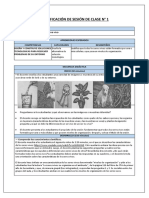 Planificación de Sesión de Clase N°1