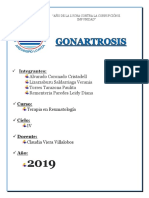 Monografia de Gonartrosis