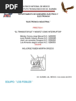 PDF Documento