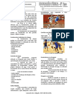 Fundamentos Técnicos Do Basquetebol