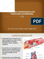 Sistema Cardiovascular