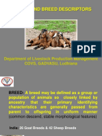 Breeds and Breed Descriptor Small Ruminants 2