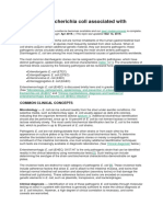 Pathogenic Escherichia Coli Associated With Diarrhea