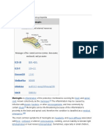 Meningitis: Classification and External Resources