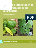 Inta - Guia Identificacion de Las Enfermedades de Las Cucurbitaceas PDF