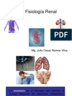 Fisiologia Renal