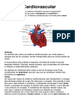 Sistema Cardiovascular