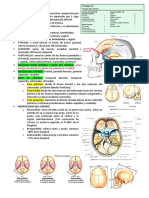 Resumen de Craneo-Radiologia-Definitivo