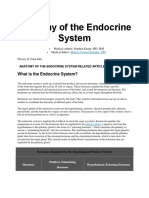 Anatomy of The Endocrine System