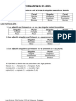 Adjectifs Formation Pluriel