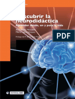 Descubrir La Neurodidactica Del Aprendizaje