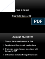 DNA Damage and Repair Mechanisms