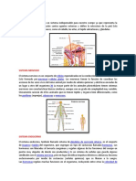 Sistema Tegumentario