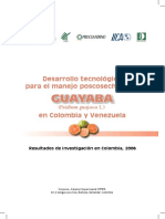 Formulas de Guayaba PDF