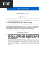 IP054-Caso Práctico Fitorremediación XXX