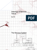 Histology of Nervous Tissue