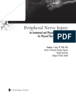 Peripheral Nerve Injury Anatomical PDF