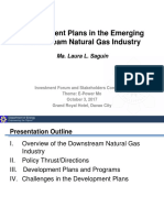 04 - Development Plans in The Emerging Natural Gas Industry PDF