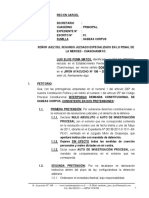 Habeas Corpus Contra Auto Apertorio de Instrucción - Luis Elvis Poma Matos