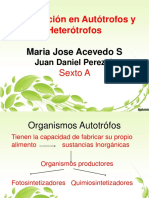 Diapositivas Autotrofos y Heterotrofos