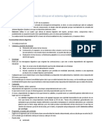 Exploración Clínica Sistema Digestivo Equino