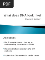 DNA CH 6.1 7th