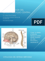 Farmacología Clase 5