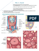 PBL 11 - Thyroid