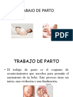 Sesion 4. Trabajo de Parto, Parto y Puerperio Olgalu