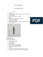 Entomologia Deber Ultimo