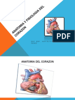 Anatomia y Fisiologia Del Corazon