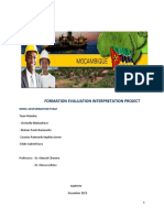 Project Formation Evaluation 2019 Christella PDF