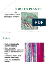 Transport in Plants