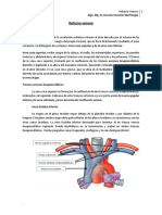 Retorno Venoso 2017
