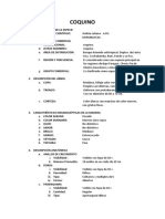 Informe Del Coquino